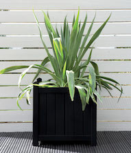 Black Ash Planter Pot Colour Black Ash Planter Pot Colour
