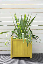 Dazzling Yellow Planter Pot Colour Dazzling Yellow Planter Pot Colour