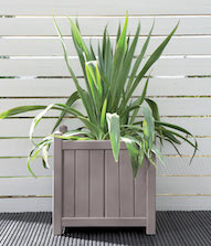 Forest Mushroom Planter Pot Colour Forest Mushroom Planter Pot Colour