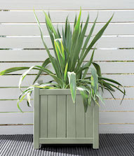 Fresh Rosemary Planter Pot Colour Fresh Rosemary Planter Pot Colour