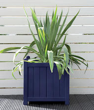 Iris Planter Pot Colour Iris Planter Pot Colour