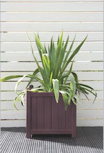 Lavender Planter Pot Colour Lavender Planter Pot Colour