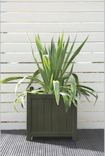Old English Green Planter Plot Colour Old English Green Planter Pot Colour