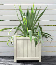 Pale Jasmine Planter Pot Colour Pale Jasmine Planter Pot Colour