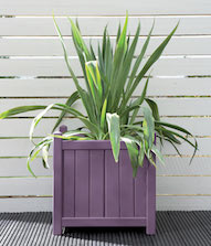Purple Pansy Planter Pot Colour Purple Pansy Planter Pot Colour