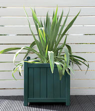 Sage Planter Pot Colour Sage Planter Pot Colour