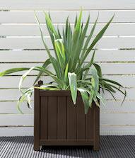 Seasoned Oak Planter Pot Colour Seasoned Oak Planter Pot Colour