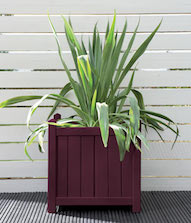 Summer Damson Planter Pot Colour Summer Damson Planter Pot Colour