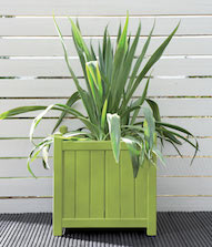 Sunny Lime Planter Pot Colour Sunny Lime Planter Pot Colour