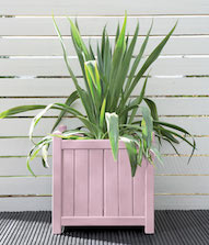 Sweet Pea Planter Pot Colour Sweet Pea Planter Pot Colour