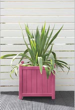 Sweet Sundae Planter Pot Colour Sweet Sundae Planter Pot Colour