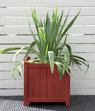 Terracotta Planter Pot Colour Terracotta Planter Pot Colour