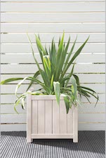 White Daisy Planter Pot Colour White Daisy Planter Pot Colour
