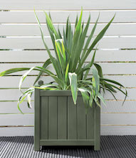 Wild Thyme Planter Pot Colour Wild Thyme Planter Pot Colour